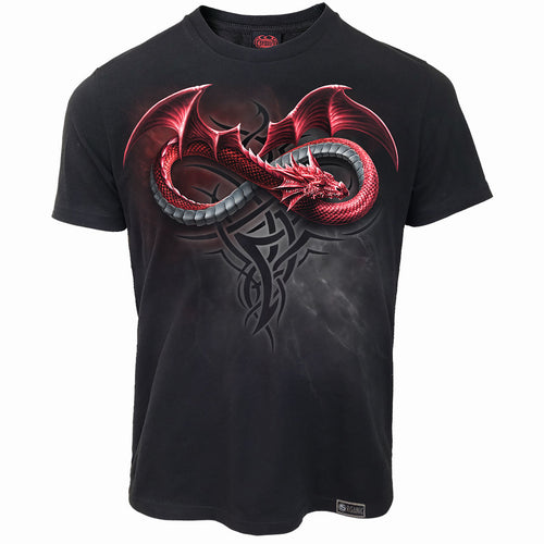 SPIRALE - UNENDLICHE DRACHEN - BIO-T-SHIRT