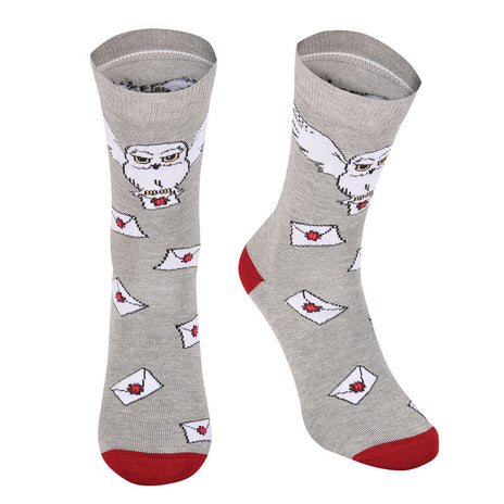 HARRY POTTER - CARTA DE HOGWARTS - CALCETINES